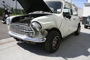 Restoration - Old English White Mini